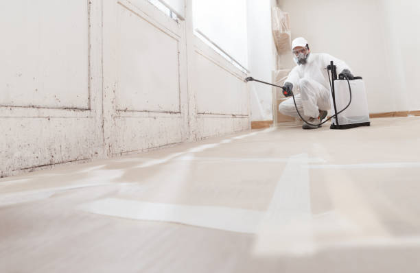 24/7 Emergency Mold Remediation experts in Marion, KY