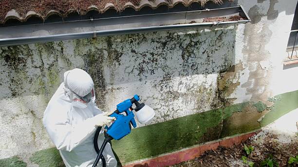 Top rated local Mold Remediation specialists in Marion, KY